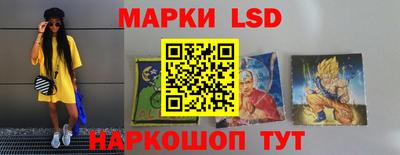 spice Кунгур