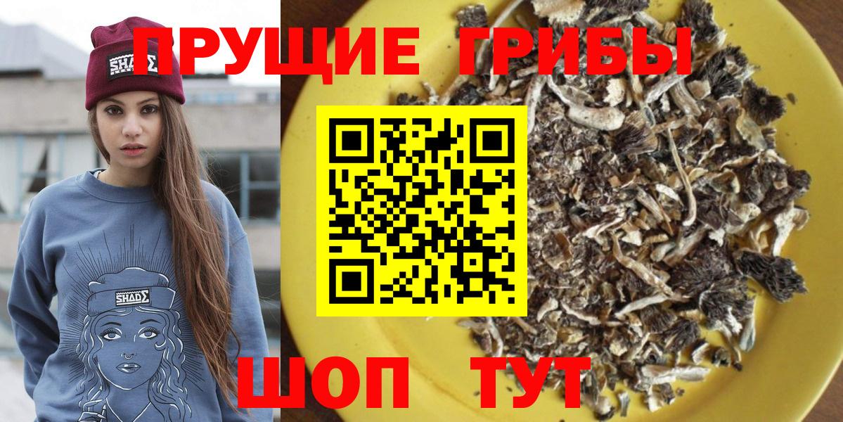 Галлюциногенные грибы Psilocybine cubensis  Галлюциногенные грибы прущие грибы  Вход с VPN  Дзержинск 